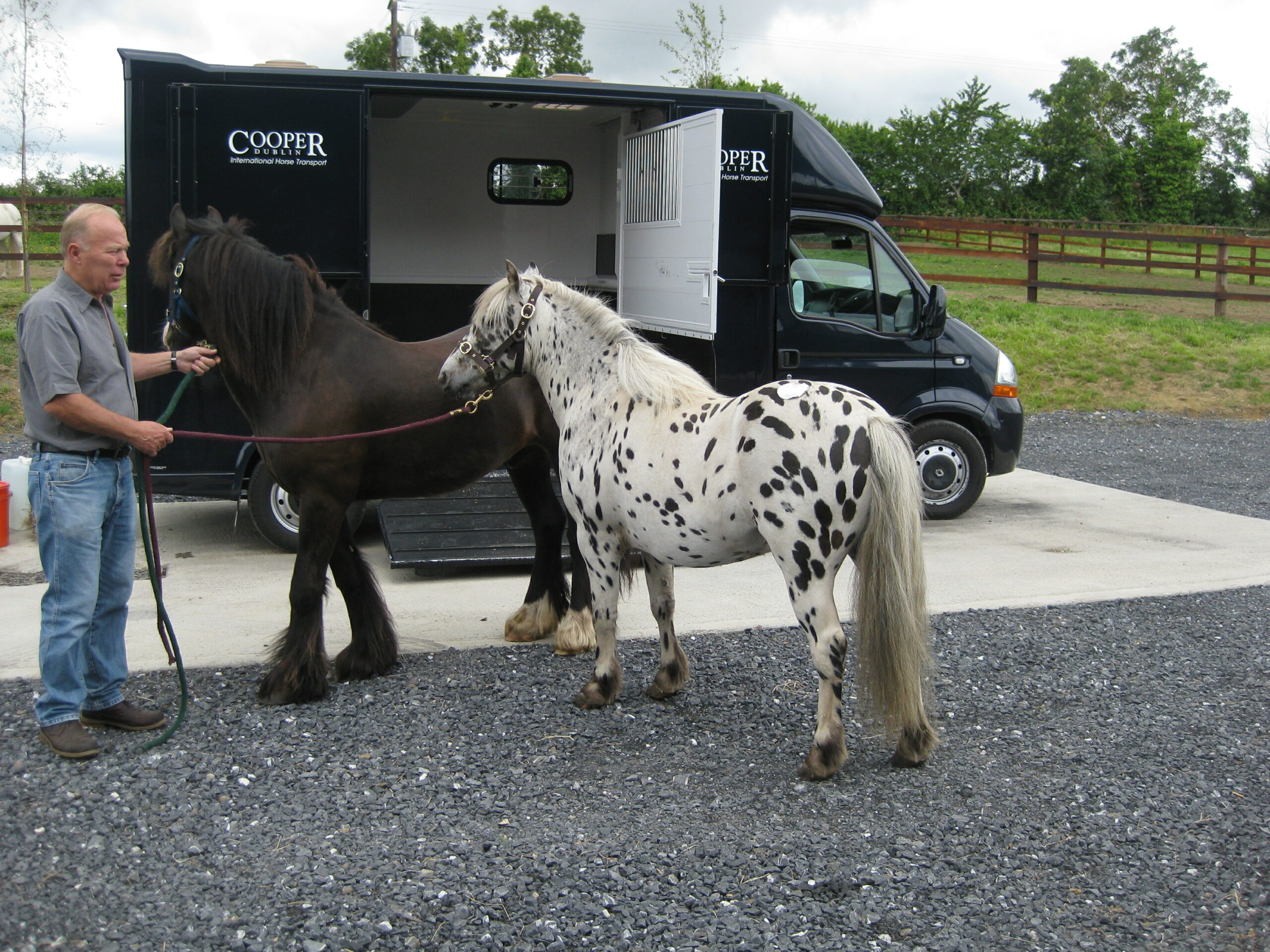 stabling4